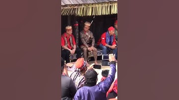 Panglima Jilah kemasukan Roh leluhur Nya!!! #panglimajilahdayak #dayakborneo #satukomando