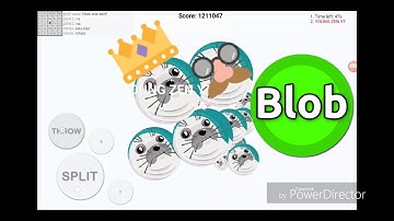 BLOB.IO// IMPOSSIBLE DOUBLESPLIT REVENGE// CHECK IT// -YOUNG ZEN