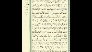 الورد اليومى.. سورة المائدة من الاية 83 الى الاية 89 بصوت القارئ الشيخ ماهر المعيقلى