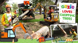 Tree Chopping Video For Kids | Chainsaw, Wood Chipper, Excavator, Tree Climbing Fun With Ozzie