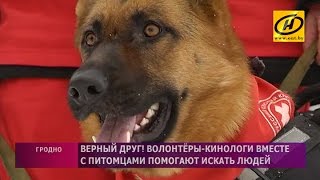 Собаки-волонтёры поискового отряда Красного Креста в Гродно Собаки-волонтёры поискового отряда Красного Креста в Гродно