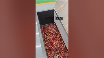 🔥Lauffer Vision Deep Learning Color Sorter | Advanced Chilli Sorting Machine | AI Precision Sorting