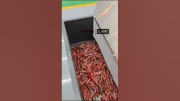 🔥Lauffer Vision Deep Learning Color Sorter | Advanced Chilli Sorting Machine | AI Precision Sorting