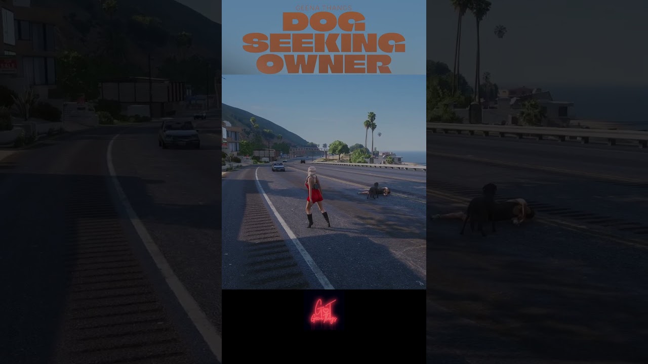 Собака ищет хозяина 