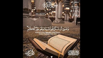 #سورة_البقرة 🤍[ #الآية 215 » 217 ] اقرؤوا #القرآن  فإنَّه يأتي يوم القيامة شَفِيعًا لأصحابه . #quran