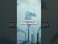Breath of a Revolution: How Oxygen Changed the World