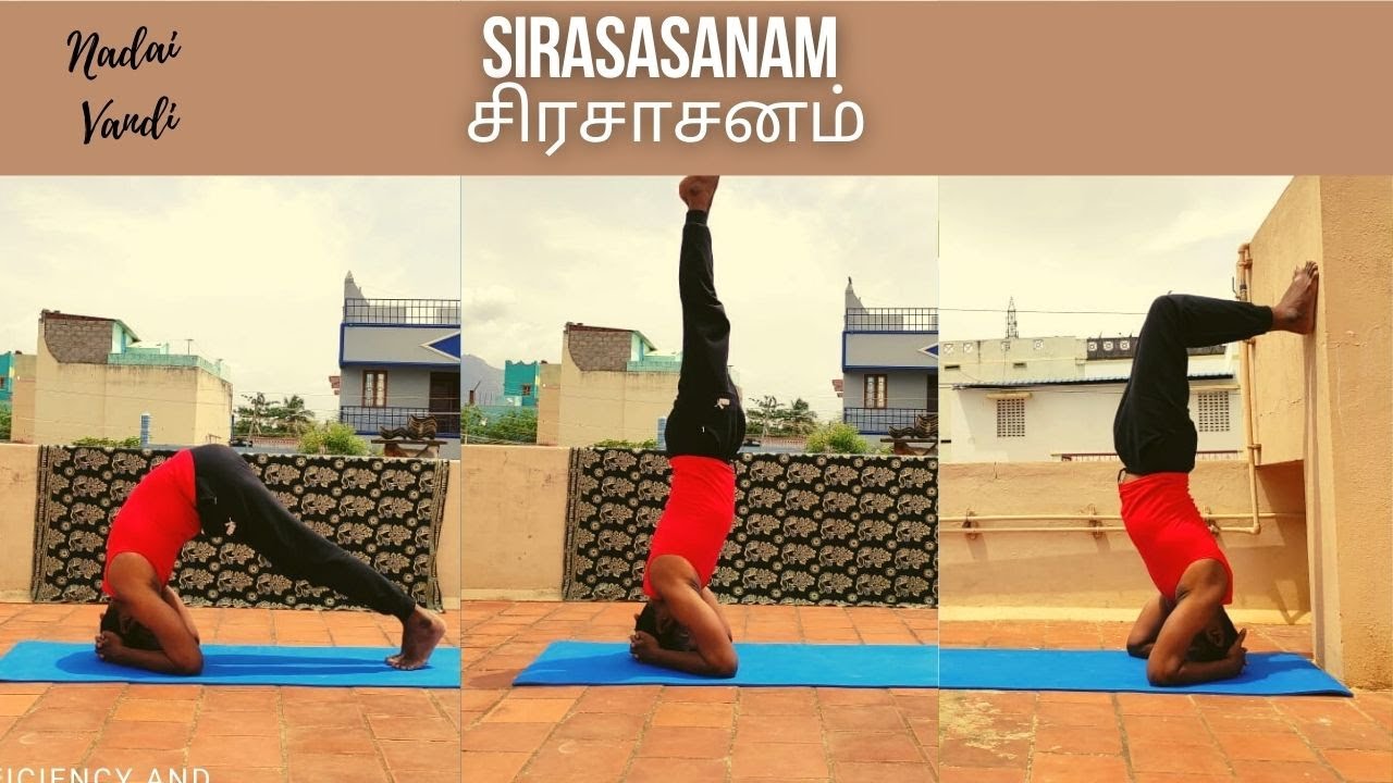 How to do sirsasana in tamil |beginners| NADAI vandi | nv