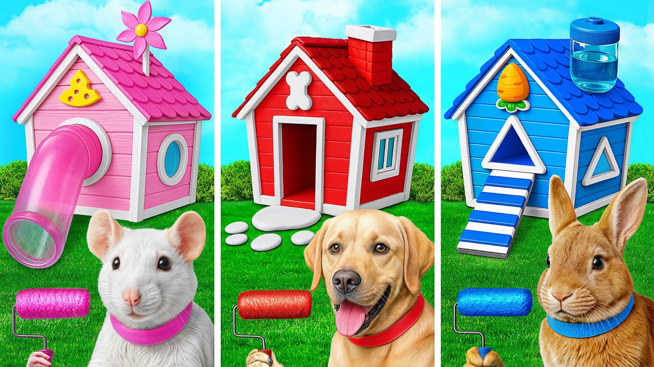 Домики Одного Цвета для Животных Челлендж | Смешные Ситуации и Неудачи Multi DO Smile
