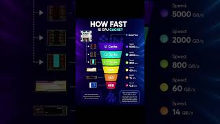 ⚡How Fast Is CPU Cache? ⚡