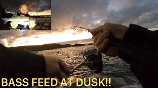 WINTER LURE FISHING FOR SEA BASS TIMING COUNTS!! #fishing #dusk #winter