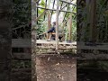 pembuatan kandang kambing, semoga berkah #ternakkambing
