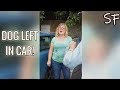 Woman CAUGHT Leaving Her Dog In Hot Car | Social Fails