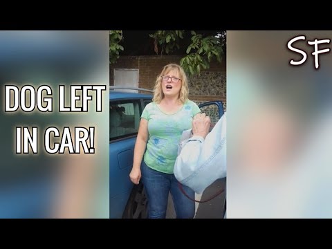 Woman CAUGHT Leaving Her Dog In Hot Car | Social Fails - YouTube