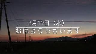 8月19日