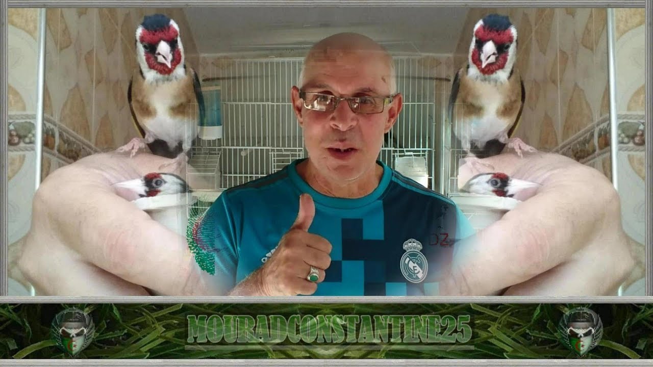 مراد يشرح طريقة القضاء على القمل بطرق بسيطة (1)  2018