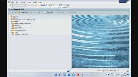 Crear un programa ABAP Tipo Report