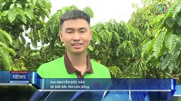Đắk Sắk  Phát triển nông nghiệp bền vững, tạo nền tảng cho kinh tế xanh | Báo và PTTH Lâm Đồng