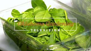 Properly Washing Your Leafy Greens