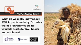 What do we really know about Public Works Programmes impacts and why