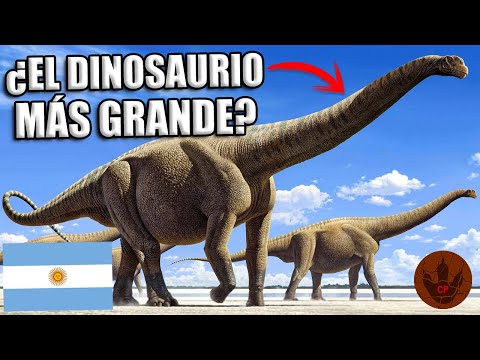 Video: ¿El giganotosaurio cazó al argentinosaurio?