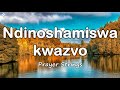 Ndinoshamiswa Kwazvo | Strings Prayer Music