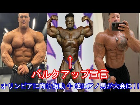 ハトクマ Hatokuma Youtube ハトクマ Hatokuma Youtube
