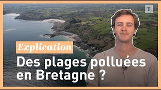 En Bretagne, pourquoi de nombreuses plages sont interdites à la baignade