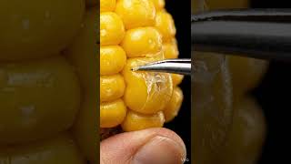 micro asmr HD Ai content 🍓🥭🥭🍓. #micro #asmr #hd #microbiology