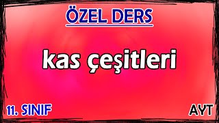 14 Destek Ve Hareket Sistemi 2 - Kas Çeşitleri - Özel Ders 11. Sınıf