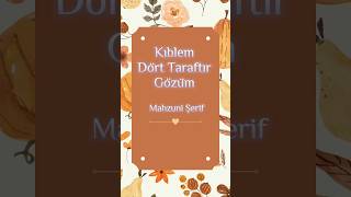 Mahzuni Şerif Kör Idi Adı Yolcuydu Yürüdü Müzik Dinle Resimi