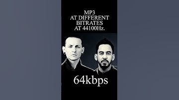 MP3 At Different Bitrates.