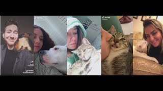 Kiss your pet on the head and see their reaction | Tiktok videos by Randomness_unnieee 25,192 views 3 years ago 12 minutes, 41 seconds