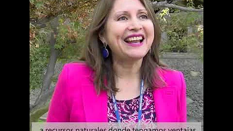 Entrevista a Jeannette Snchez, Directora Divisin d...