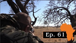 Hunting red hartebeest in Molopo, Ep. 61