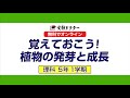 【5年 理科】覚えておこう！植物の発芽と成長｜無料でオンライン｜受験ドクター