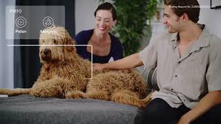 Levoit Everestair Smart Air Purifier