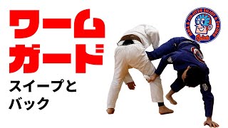 Worm Guard Sweep and Back Take - YouTube