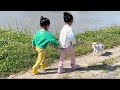 海外生活vlog/菜地的洋蔥成熟了、日本鄰居和我一起拔、她也經常幫我帶孩子們玩