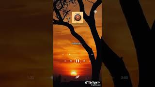 Nana Thula Remix Young Stunna Verse