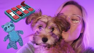 BEATBOX AND DOG TOYS ASMR: COLLAB WITH MY NEW PUPPY!