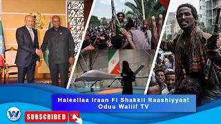 Garee Badii ‘TPLF’ - Haleellaa Iraan - Oduu Waliif TV Adoolessa 23/2026
