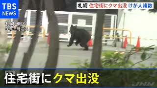 住宅街にクマ出没 けが人複数 札幌・東区