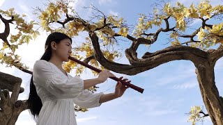 【箫】穿越时空的思念 | 犬夜叉主题曲 | 時代を越える想い InuYasha - To Love's End | いぬやしゃ | Chinese Bamboo Flute Cover