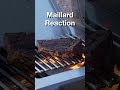 The 900℉ Maillard Reaction 🔥 #maillardreaction #cooking