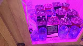 SHOWING MY GROW ROOM AND MY EQUIPMENT THAT I USE.