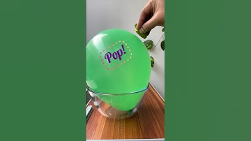 Can Orange peel pop a balloon?🍊 #shorts