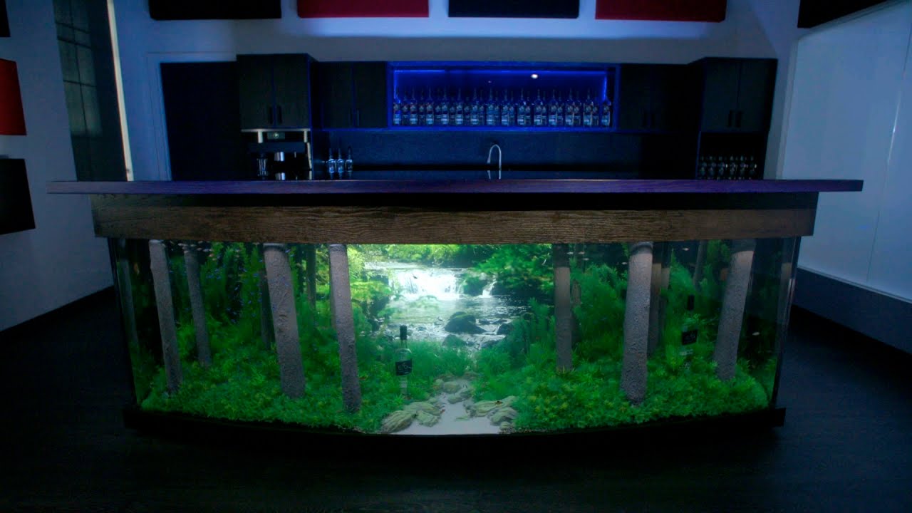 tanked freshwater aquarium