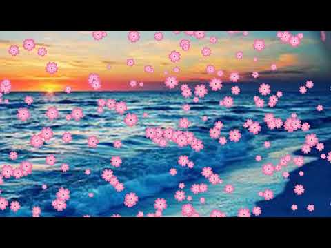 اجمل مقطع من اغنية اغدا القاك ام كلثوم 