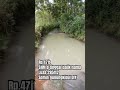 TERJUAL❌Dijual tanah pekarangan dekat sungai tinggal balik nama Rp.47jt