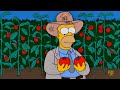 Homero granjero tomacco  los simpsons capitulos completos en espaol latino